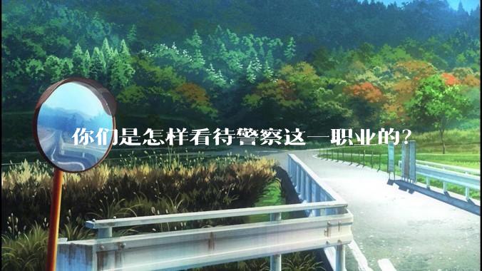 你们是怎样看待警察这一职业的？