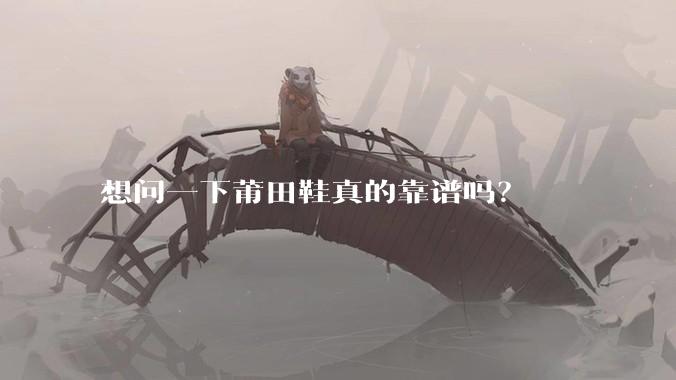 想问一下莆田鞋真的靠谱吗？